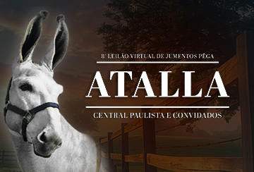 8° LEILÃO VIRTUAL DE JUMENTOS PÊGA ATALLA CENTRAL PAULISTA E CONVIDADOS